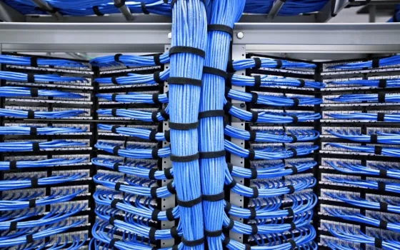 Avoiding digital chaos: Why a strong brand reputation is your armour