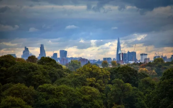 The digital solution to sustainability challenges