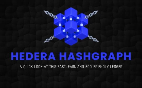 Hedera Hashgraph: A Quick Look at This Fast, Fair, and Eco-Friendly Ledger