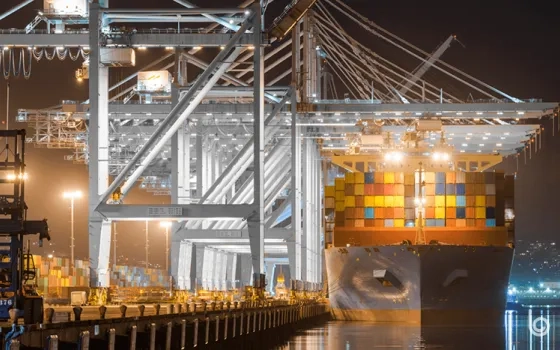  How Ocean Freight Forwarders Can Overcome Barriers to Digitalization