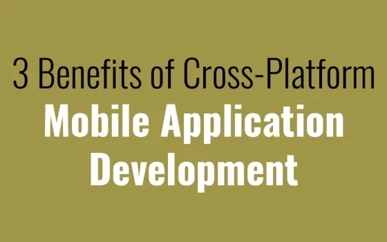  3 Benefits of Cross-Platform Mobile Application Development