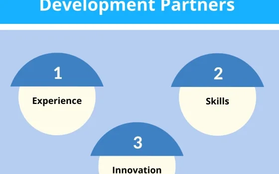 3 Things to Ask Prospective Custom ERP Software Application Development Partners