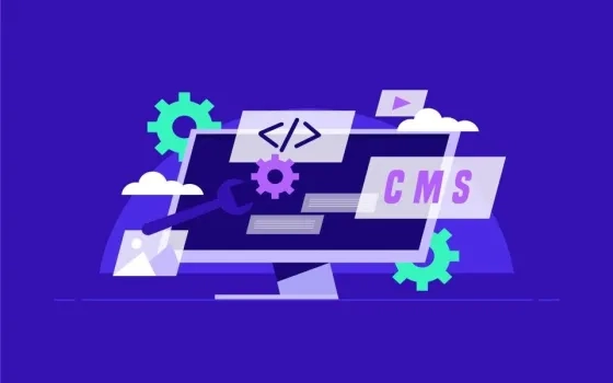 What Are the Three Stages of WordPress Transformation?