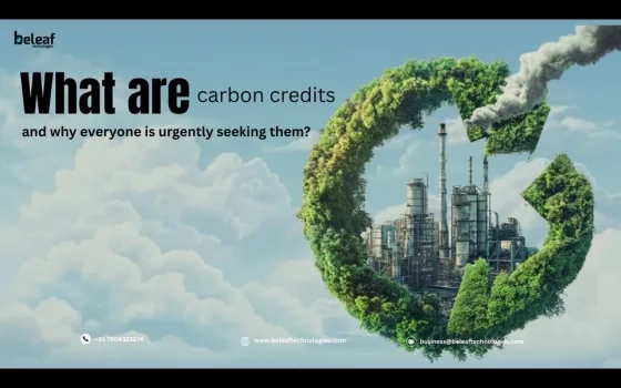What Exactly Is a Carbon Credit—and Why Are Governments, Businesses, and Even Individuals Racing to Get Them?