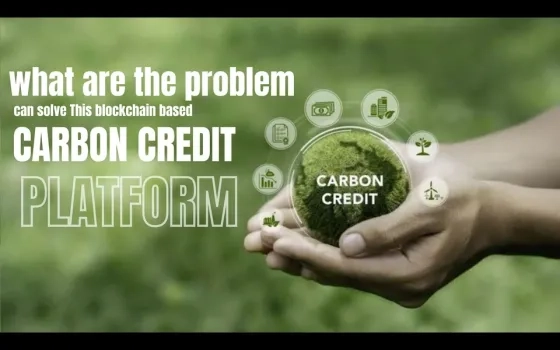 what are the problem can solve this blockchain based carbon credit platform