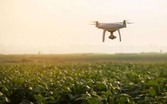 BSI- Live Virtual- Sustainability Roadshow