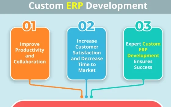 3 Reasons Your Business Should Consider Custom ERP Development