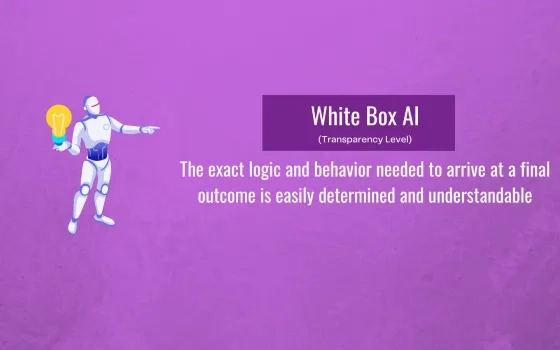 White Box AI vs Black Box AI