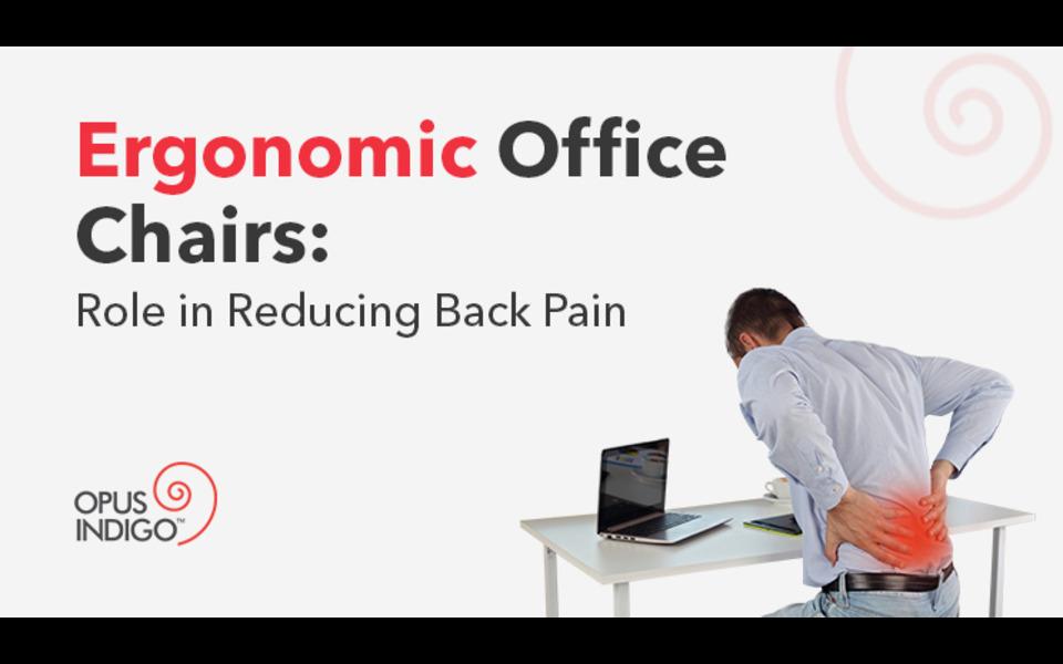 Ergonomic Office Chairs: Role in Reducing Back Pain 