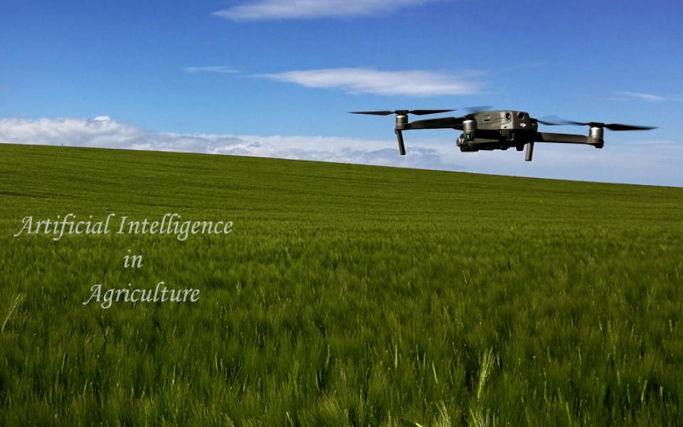 Artificial Intelligence : A game changer in field of Agriculture 