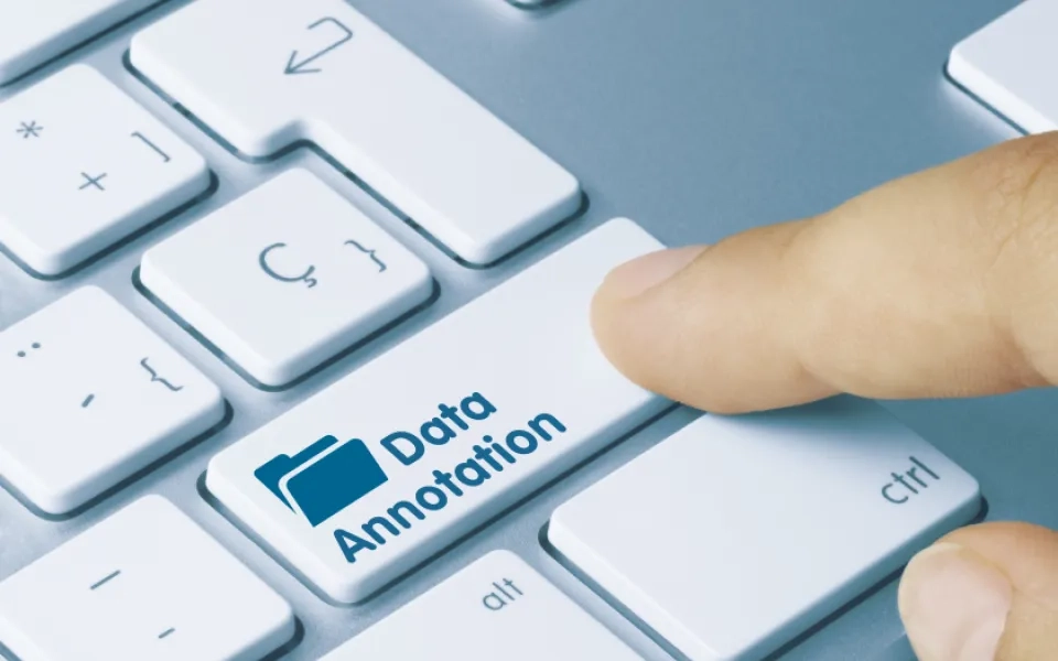 Two building blocks of data annotation services –Workforce + Platform