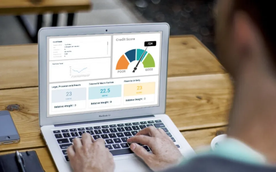 Flourishing through the lending revolution... Reimagining customer experience, credit decisioning & borrower monitoring