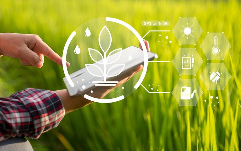 Why you need Agritech for food security, farmers’ empowerment