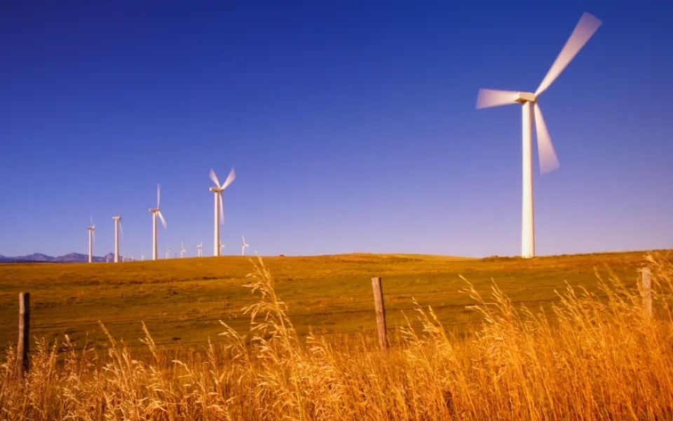 Enabling Sustainability through Cloud : Zero Waste, Zero Emissions and Zero Inequality