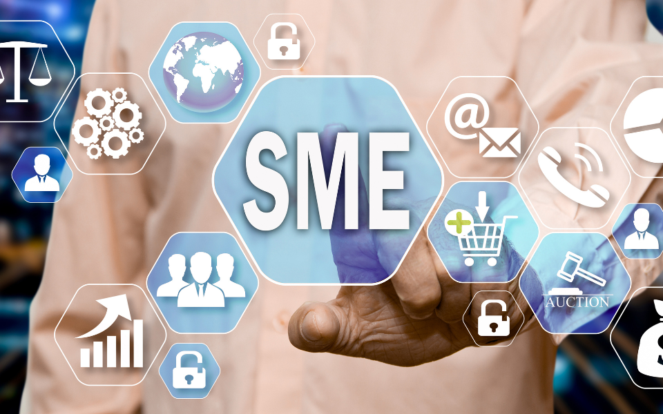 Tech Adoption by SMEs in India
