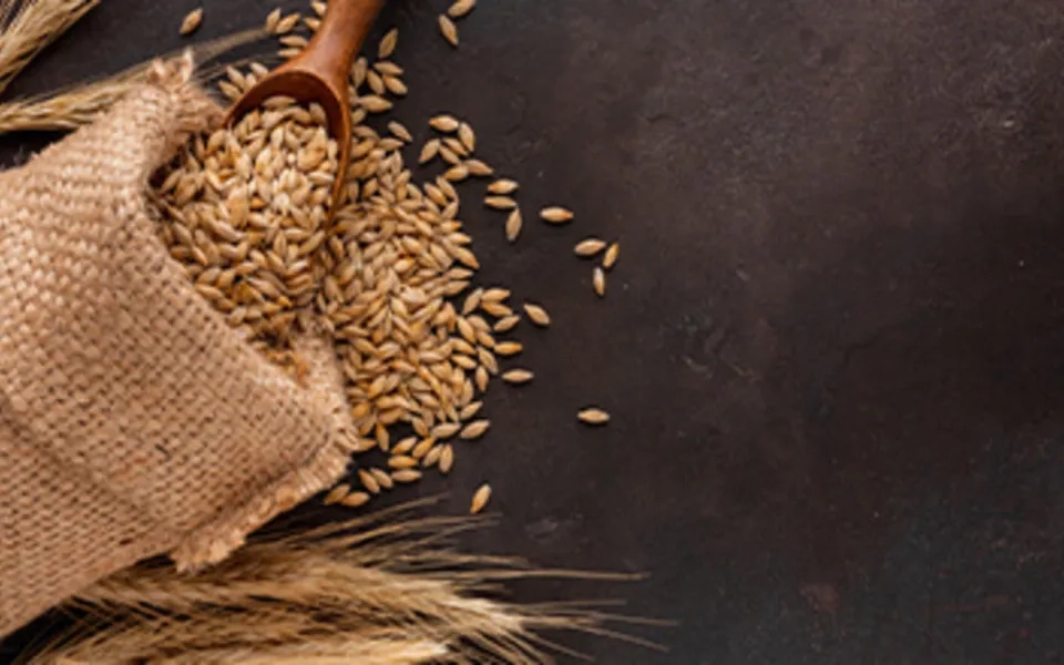 Optimizing Output through Seed Certification