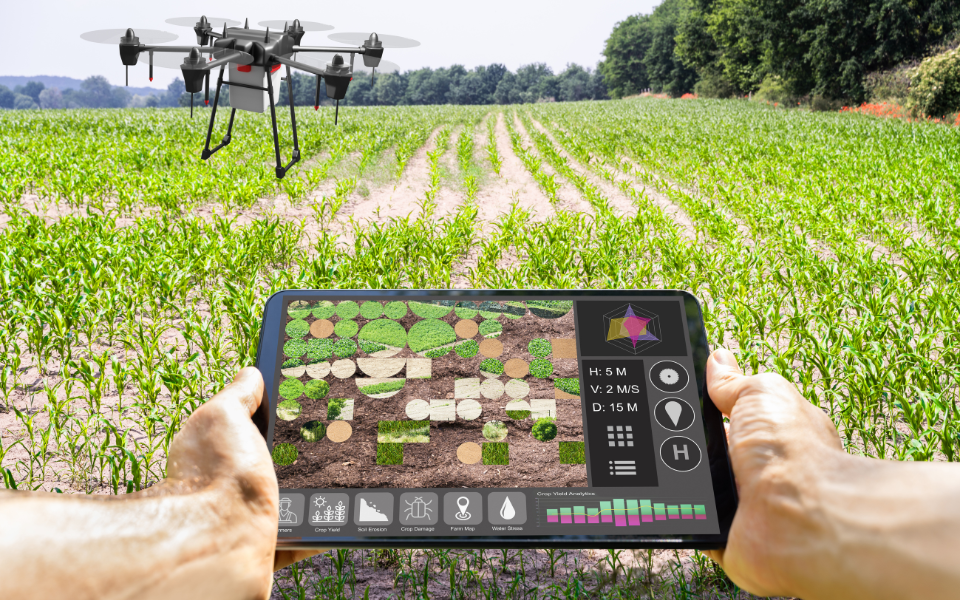 Why Smart Farming is the Future 