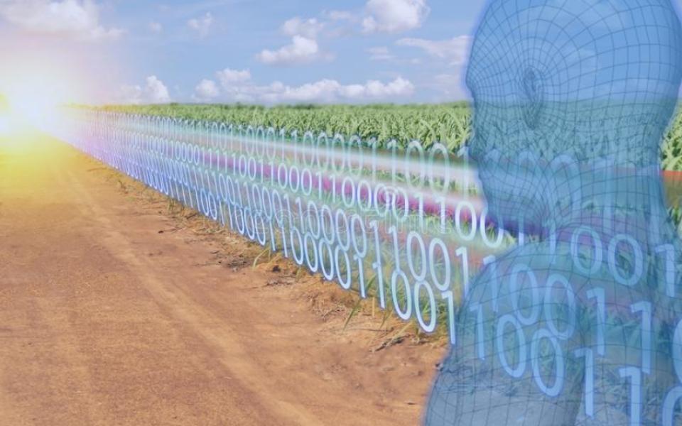 AI in Agriculture: The Future of Farming