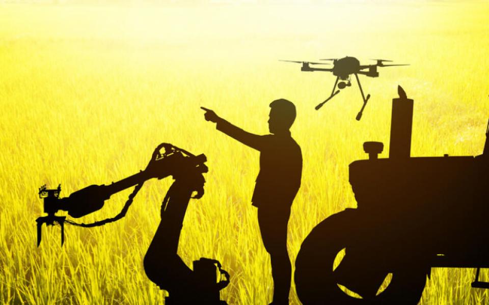 AI in Agriculture: An Emerging Era in Technology..