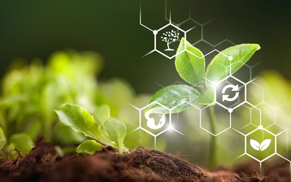 AI in Agriculture: Using Artificial Intelligence to Develop Agriculture System