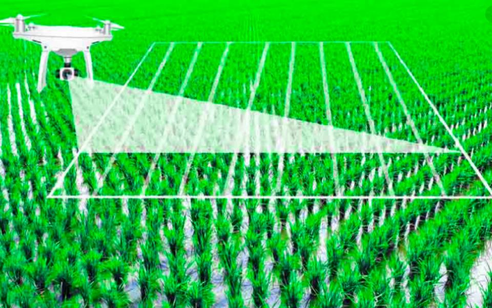 AI in Agriculture : Present and Future Applications Impact