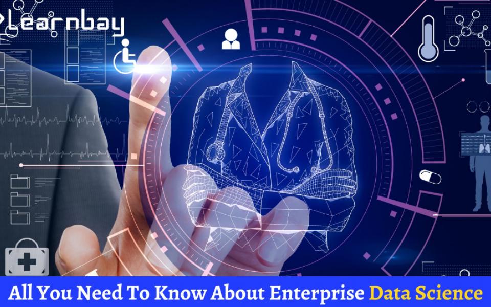 All You Need To Know About Enterprise Data Science