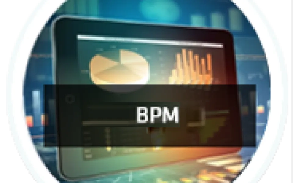 Business Process Modelling in the Shipping and Logistics Industry