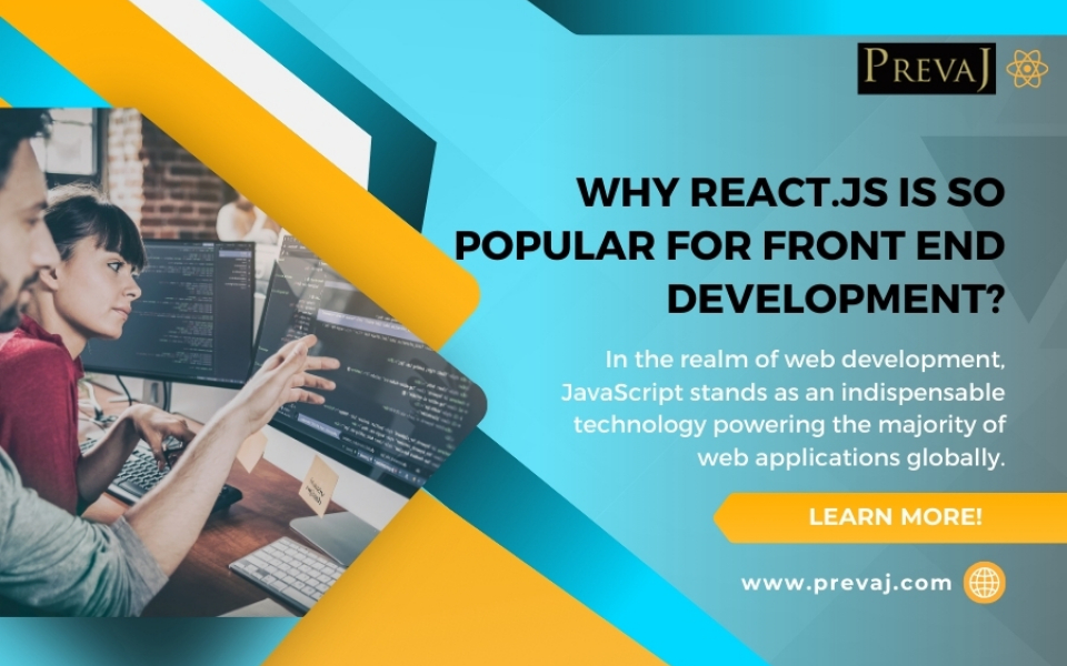 Why React.js is so popular for Front End Development?