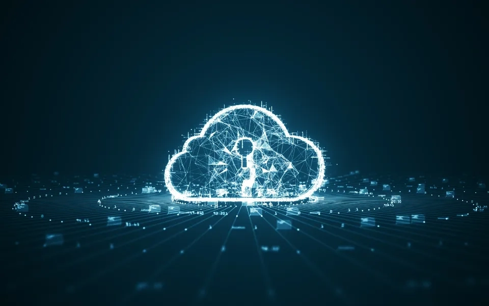 Collaborative Governance: How Cloud Platforms Facilitate Interagency Cooperation