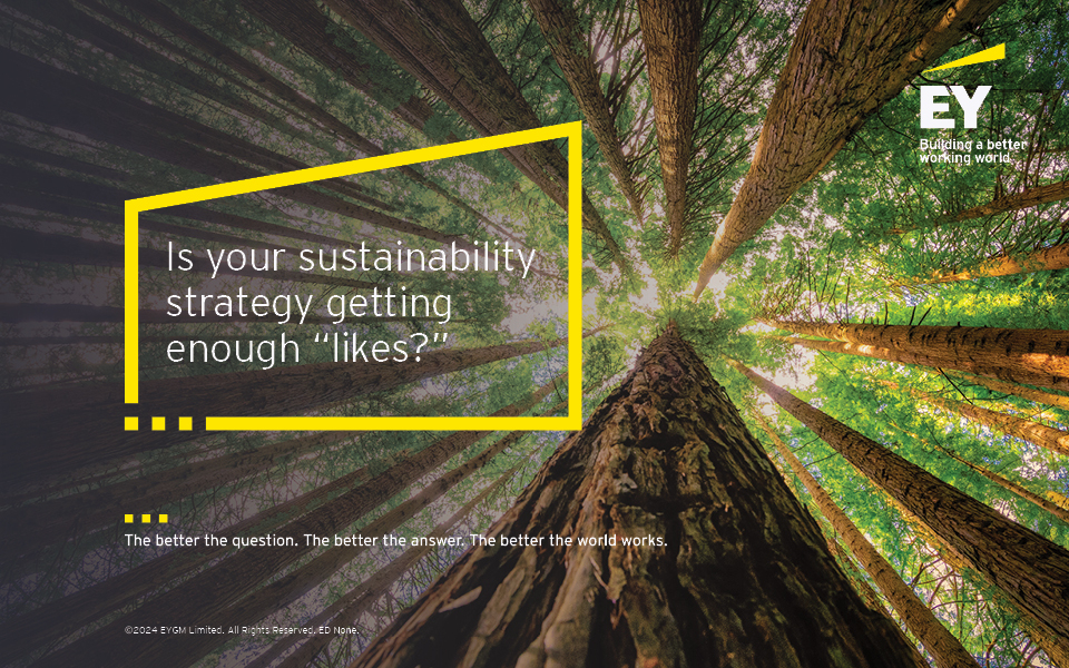 Driving sustainability commitments into action: the power of reporting  and Assurance