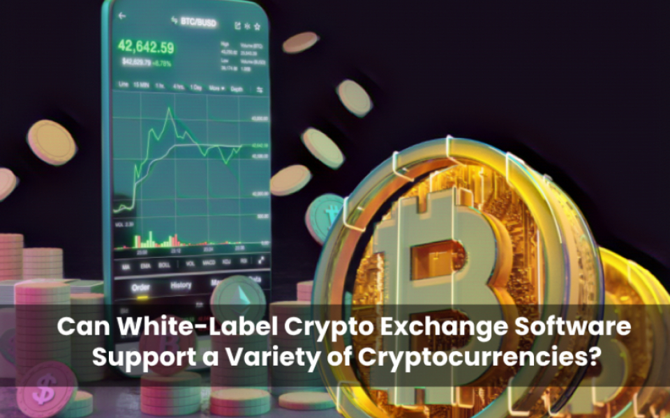 Can White-Label Crypto Exchange Software Support a Variety of Cryptocurrencies?