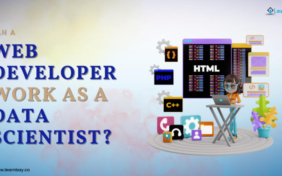 Can a Web Developer Work as a Data Scientist?