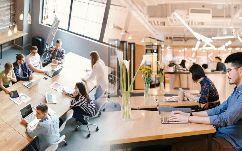 NEBOSH Certification in Gulf Countries: Enhancing Workplace Safety and Professional Development