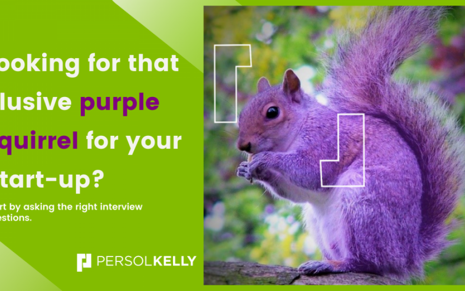 9 CRUCIAL QUESTIONS TO SPOT THE PURPLE SQUIRREL FOR START-UPS