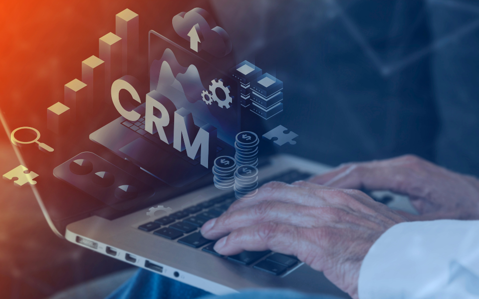 Elevate Your Custom Web Development with the Right CMS