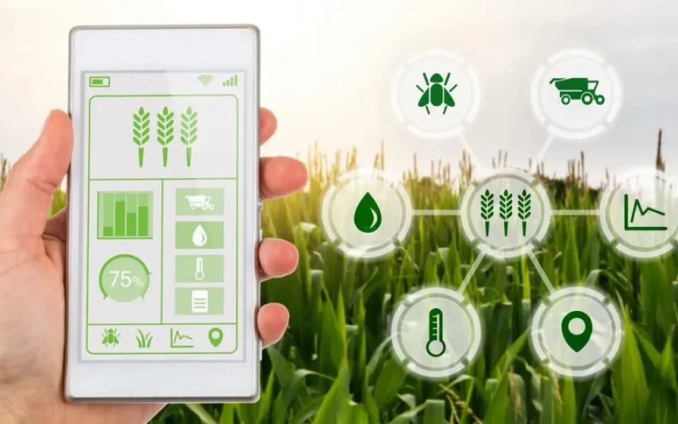 Crop Analytics Can Reform Agri Procurement