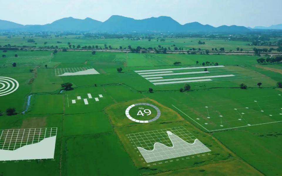 Crop Analytics Promises Delight for Farms and Farmers