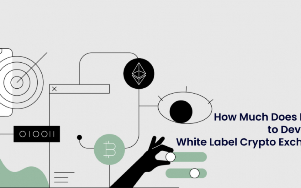  How Much Does It Cost to Develop a White Label Crypto Exchange?