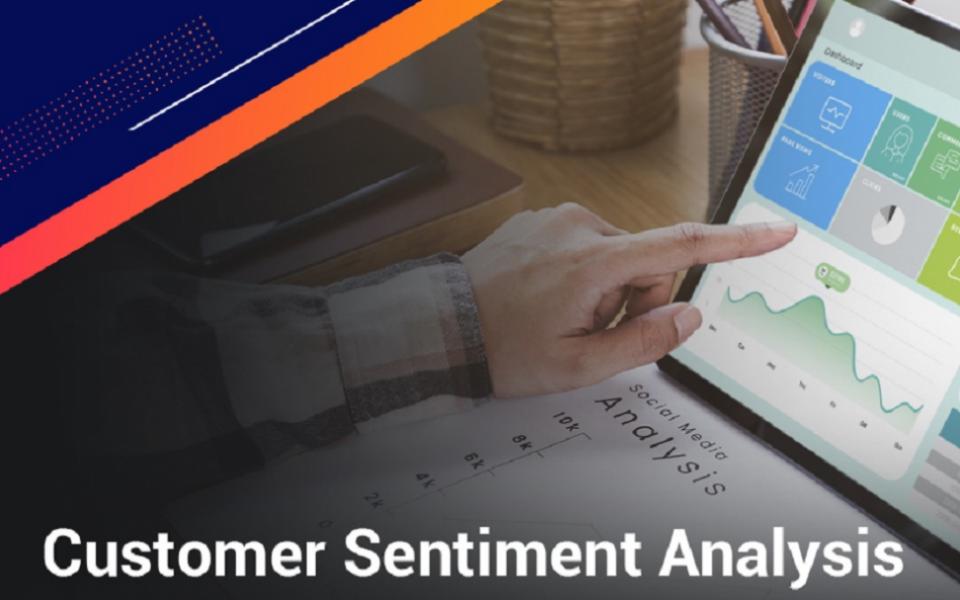 Customer Sentiment Analysis - Why It Matters?