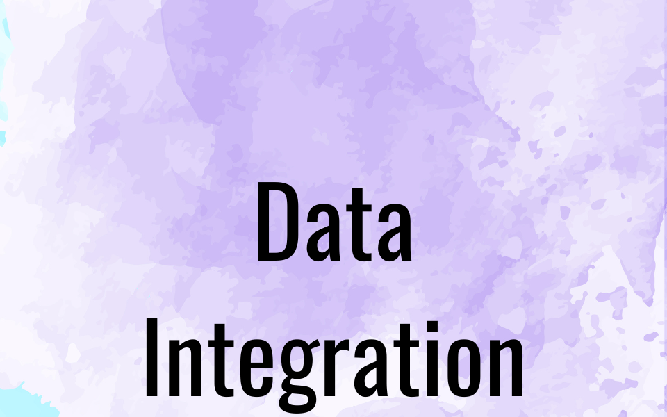 Data Integration: Streamlining Information Across Your Organization 
