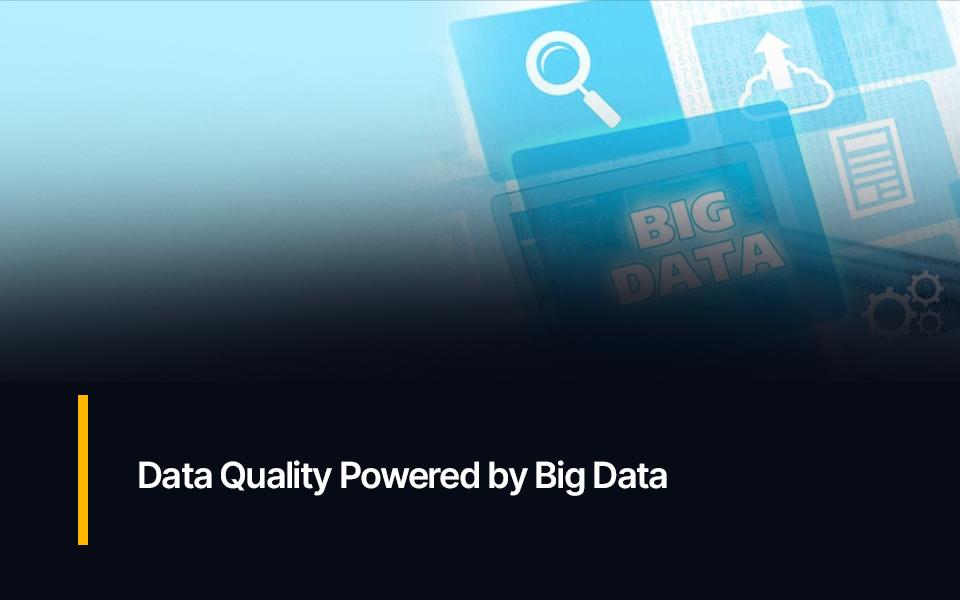 Data Quality Powered by Big Data