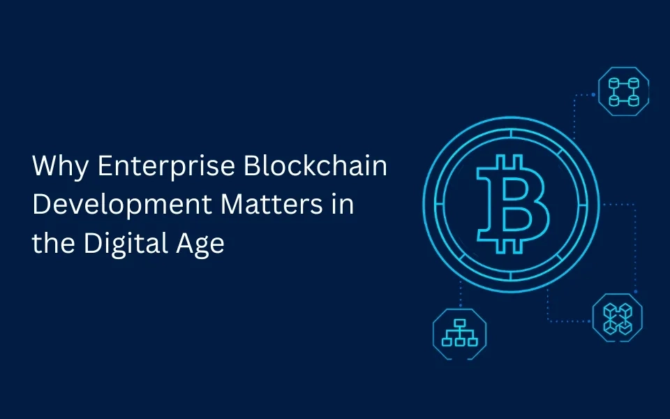 Why Enterprise Blockchain Development Matters in the Digital Age