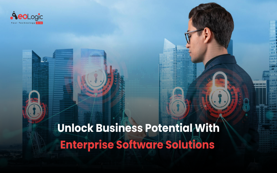 Unlock Business Potential with Enterprise Software Solutions
