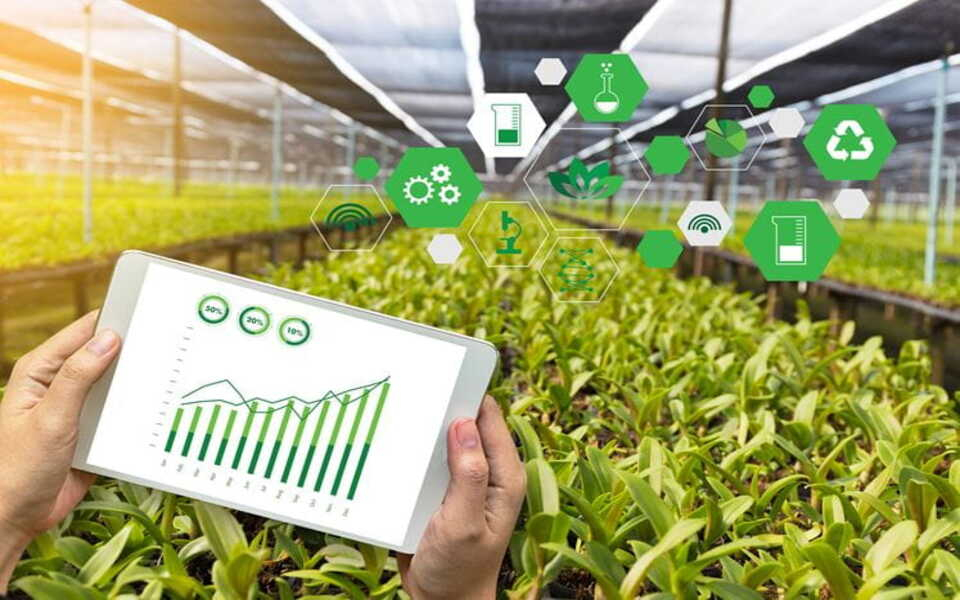 Digital Market Place for Farming