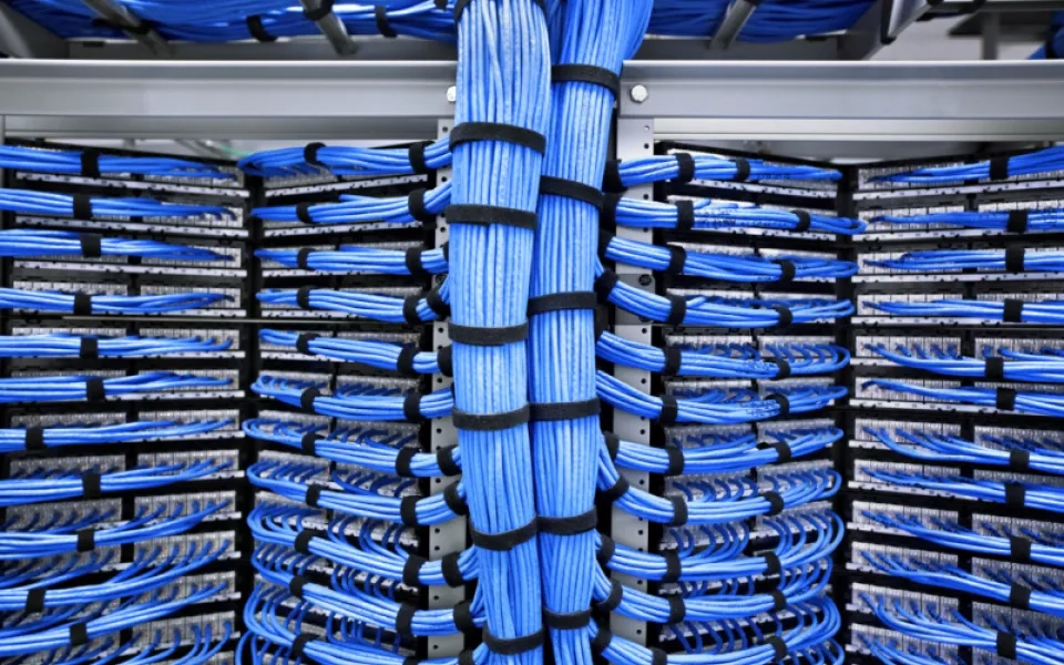Elevate your cybersecurity defences