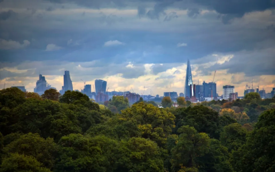 The digital solution to sustainability challenges