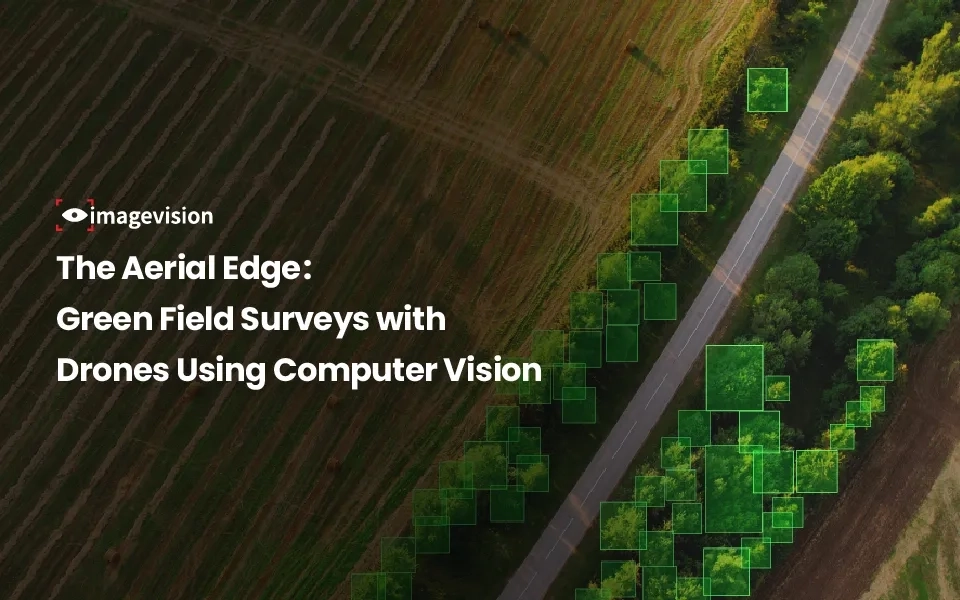 The Aerial Edge: Green Field Surveys with Drones Using Computer Vision 