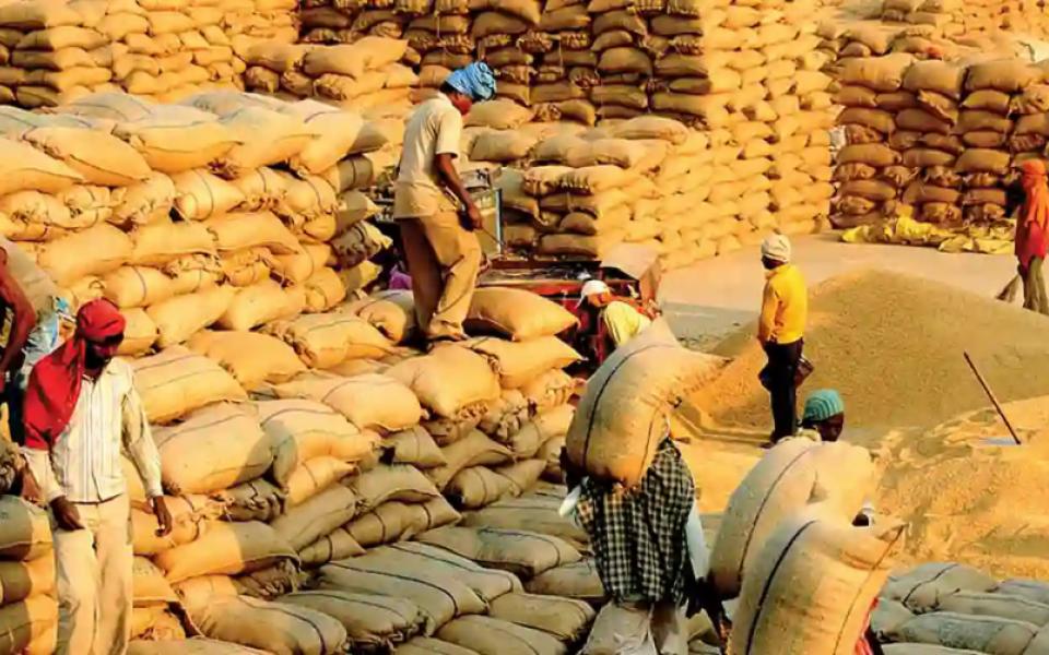 How Digitization Reformed The Food Supply Chain in Odisha