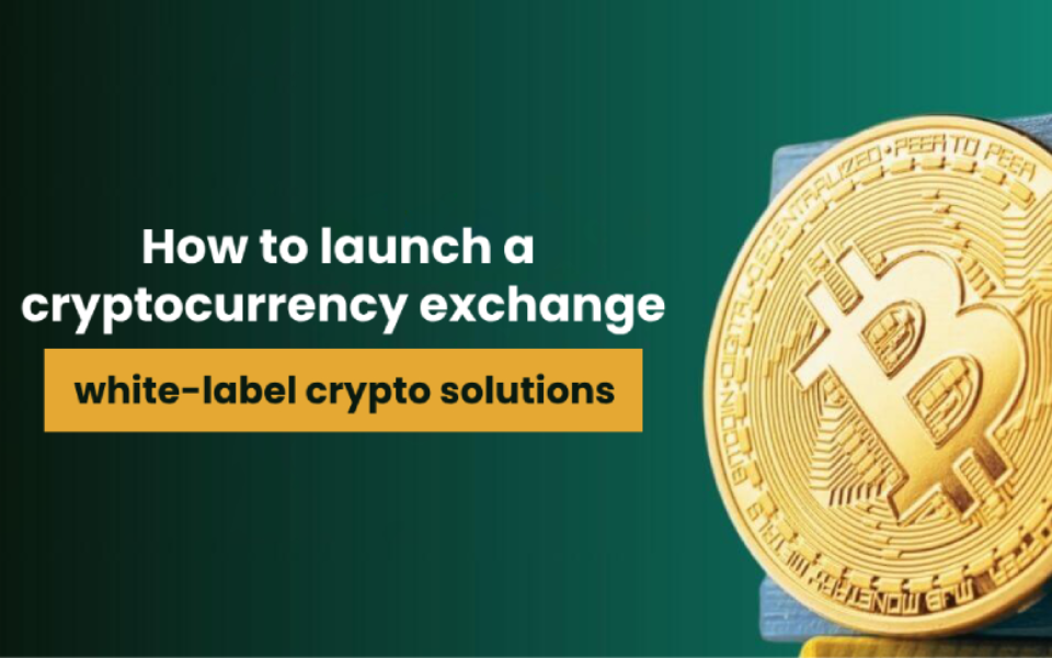 How to launch a cryptocurrency exchange using white-label crypto solutions