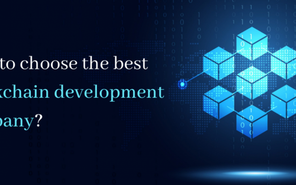 How to choose the right blockchain development company for your projects?